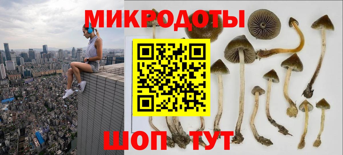 Галлюциногенные грибы мухоморы Красноярск