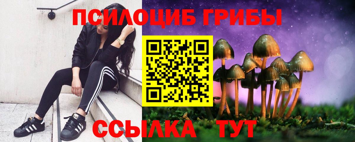 Псилоцибиновые грибы MAGIC MUSHROOMS  закладки  Красноярск  Вход с VPN  Псилоцибиновые грибы GOLDEN TEACHER 